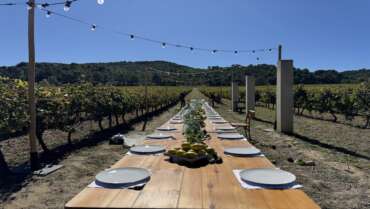 Société Wine Tours à Cannes