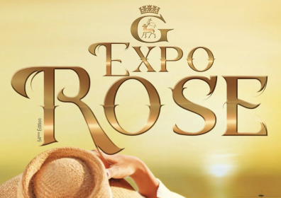Expo Rose Grasse : visite, histoire et expérience parfum unique
