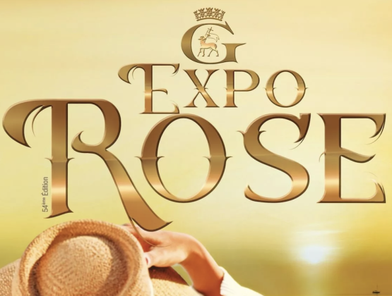 Expo Rose Grasse : visite, histoire et expérience parfum unique